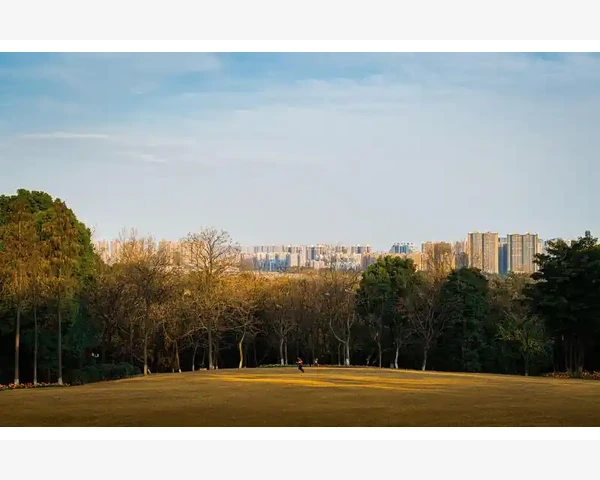 B2B电子商务软件选型核心要点